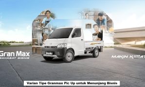 Granmax Pic Up