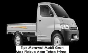 Gran Max Pickup